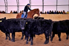 54514967_2280402758862045_4212112051100712960_n