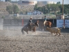 Elko County Fair 2013