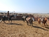 Martin Black a Madonna Inn Quarter Horses