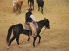 Winnemucca 2011