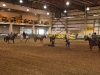 Tie down steer roping