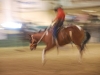 Bronc riding