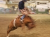 Bronc riding